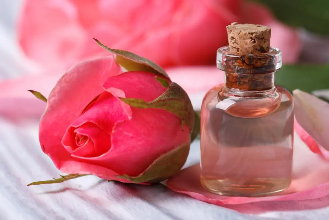 ROSE WATER 250ML*12 BOTT ICS