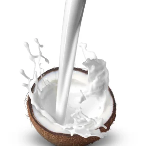 ORGANIC COCONUT MILK400ML*12