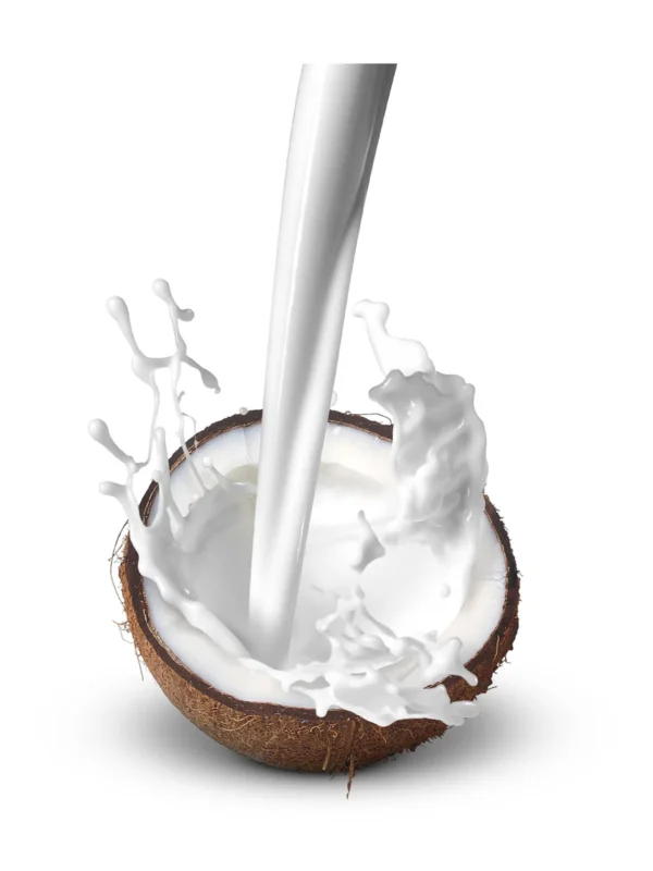 ORGANIC COCONUT MILK400ML*12