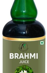 ICS BRAHMI JUICE 480GM*20
