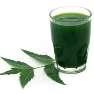 ICS NEEM JUICE 480GM*20