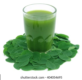 MORINGA JUICE 500ML*20