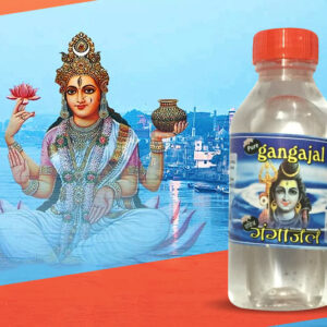 GANGA JAL 500ML*20