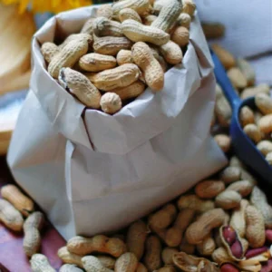 ROST.PEANUT WITH SHELL 500G*20
