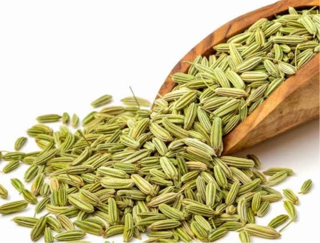 FENNEL SEED 20*500GM