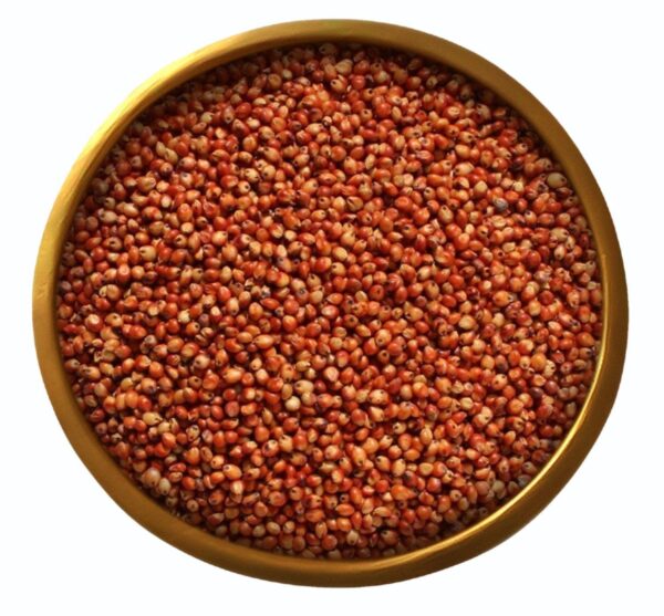 ICS MILLET SOUGUM RED 1KG*10