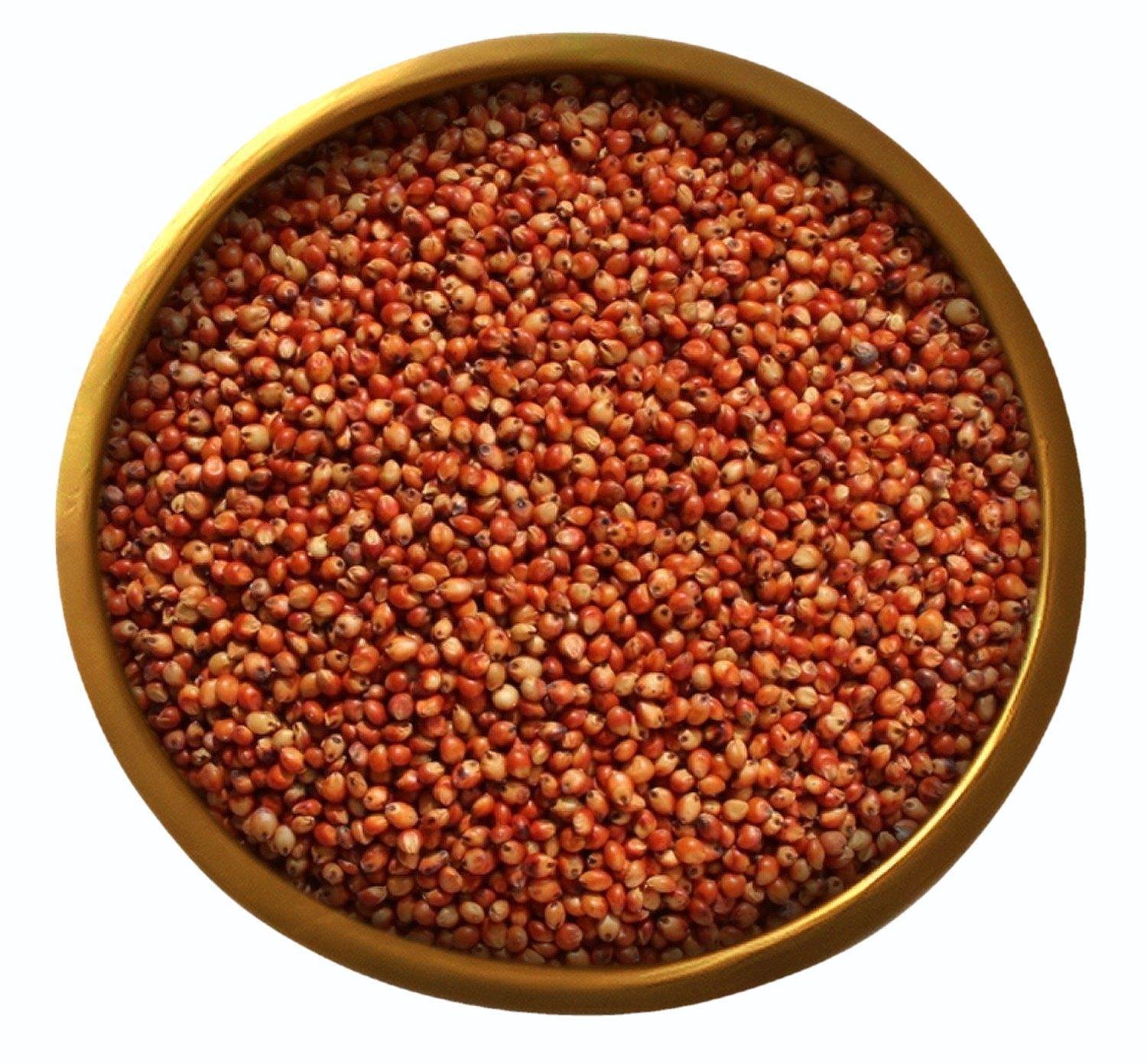 ICS MILLET SOUGUM RED 1KG*10