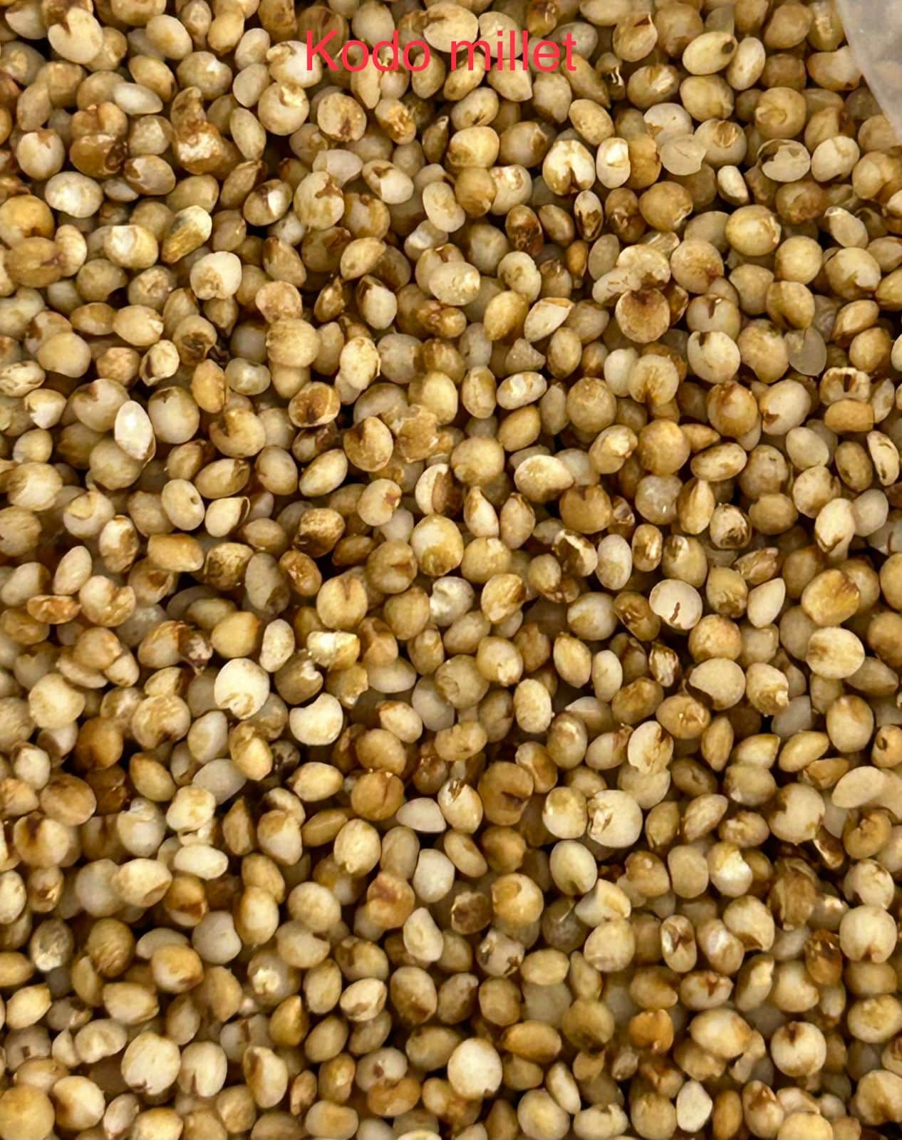 KODO MILLET 20KG
