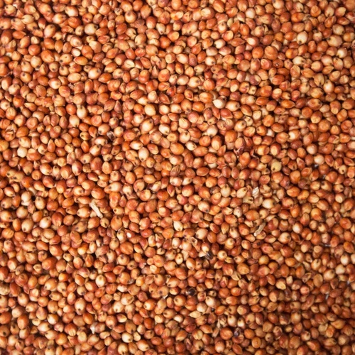 SORGUM MILLET 20KG BAG