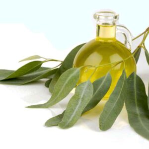 EUCALYPTUS OIL50ML*144