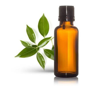 CAMPHOR OIL 96*100ML