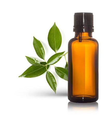 CAMPHOR OIL 96*100ML