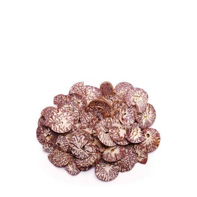 BITTLE NUT SLICE 100GM*Pooja P