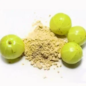 ICS TRIPHALA POWDER 100GM*100