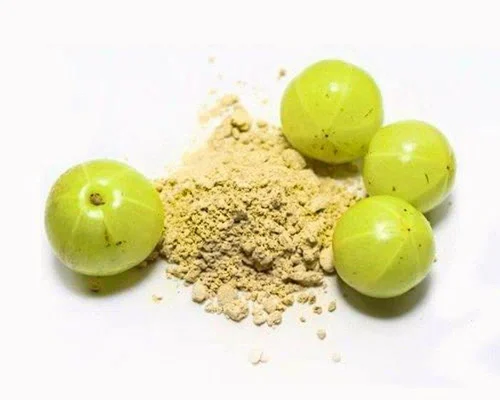 ICS TRIPHALA POWDER 100GM*100