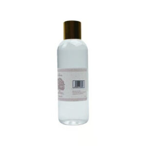 GANGA JAL BOTTLE 100ML*24
