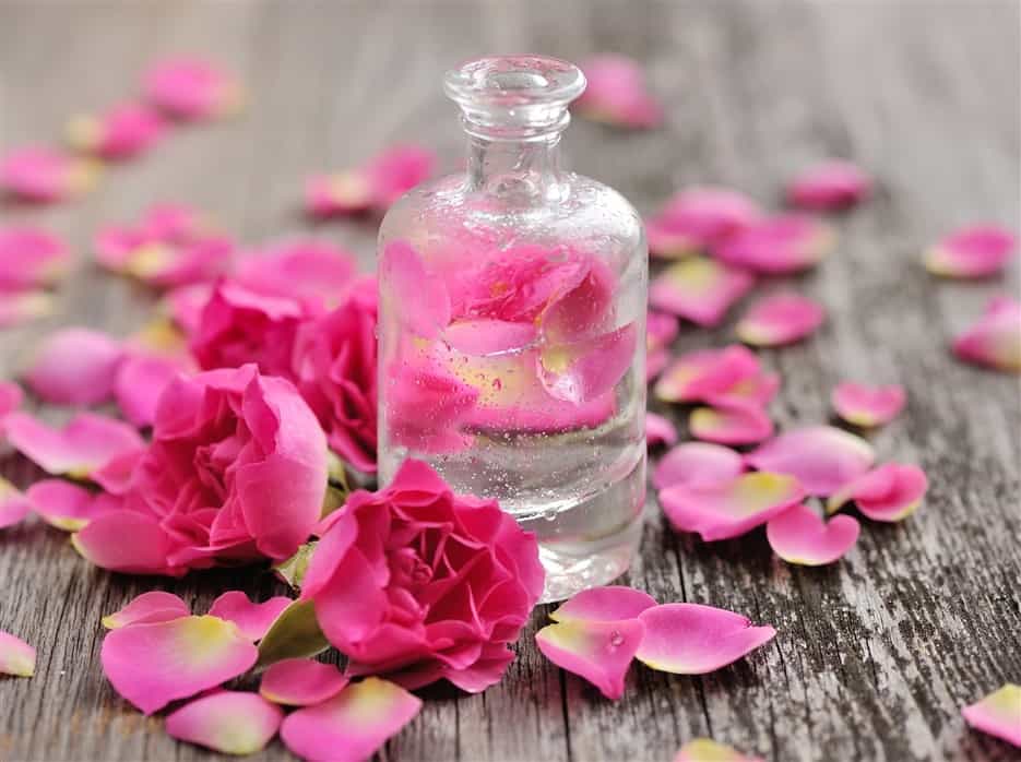 ROSE WATER 5LT