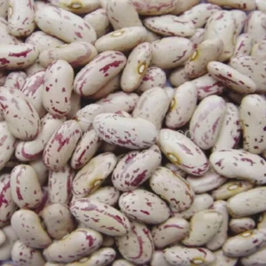 ICS KIDNEY BEANS LIGHT 5KG*4