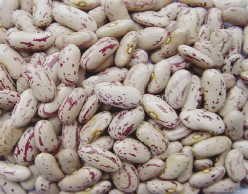 ICS KIDNEY BEANS LIGHT 5KG*4
