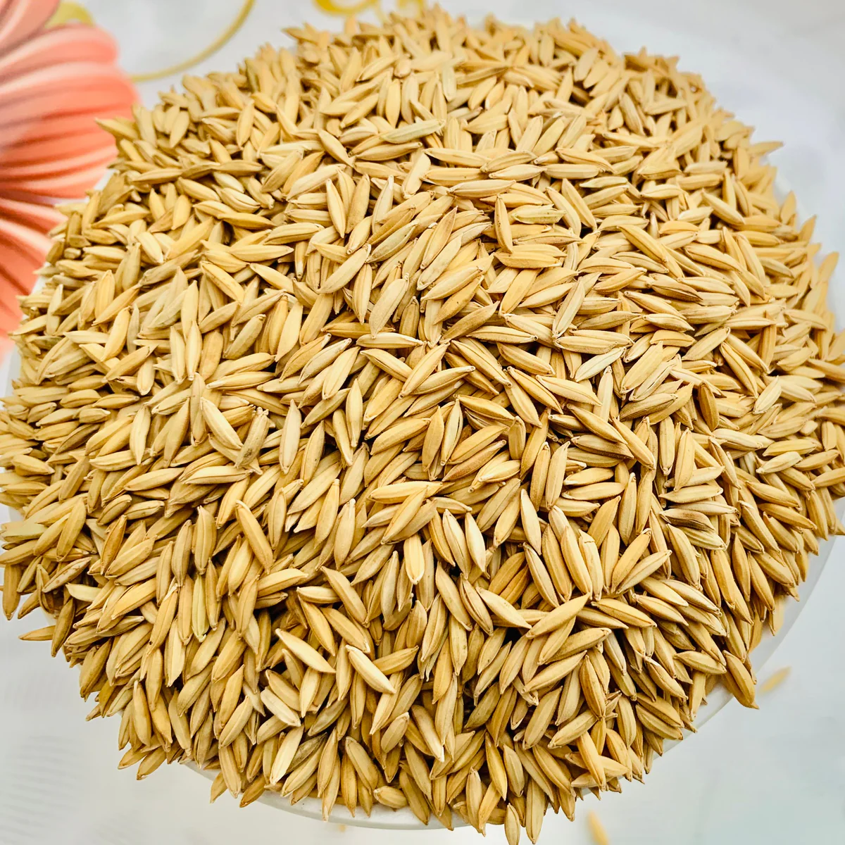 PADDY 1KG*10 FOR POOJA PURPOSE