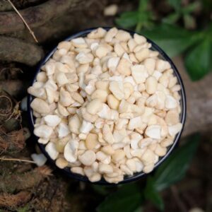 CASHEW SWP 1KG*20