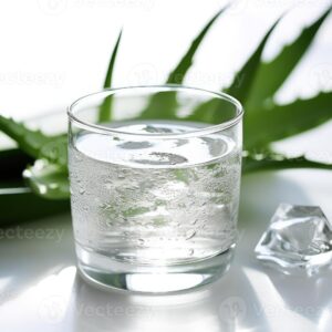 ICS ALOE VERA  JUICE 480GM*20