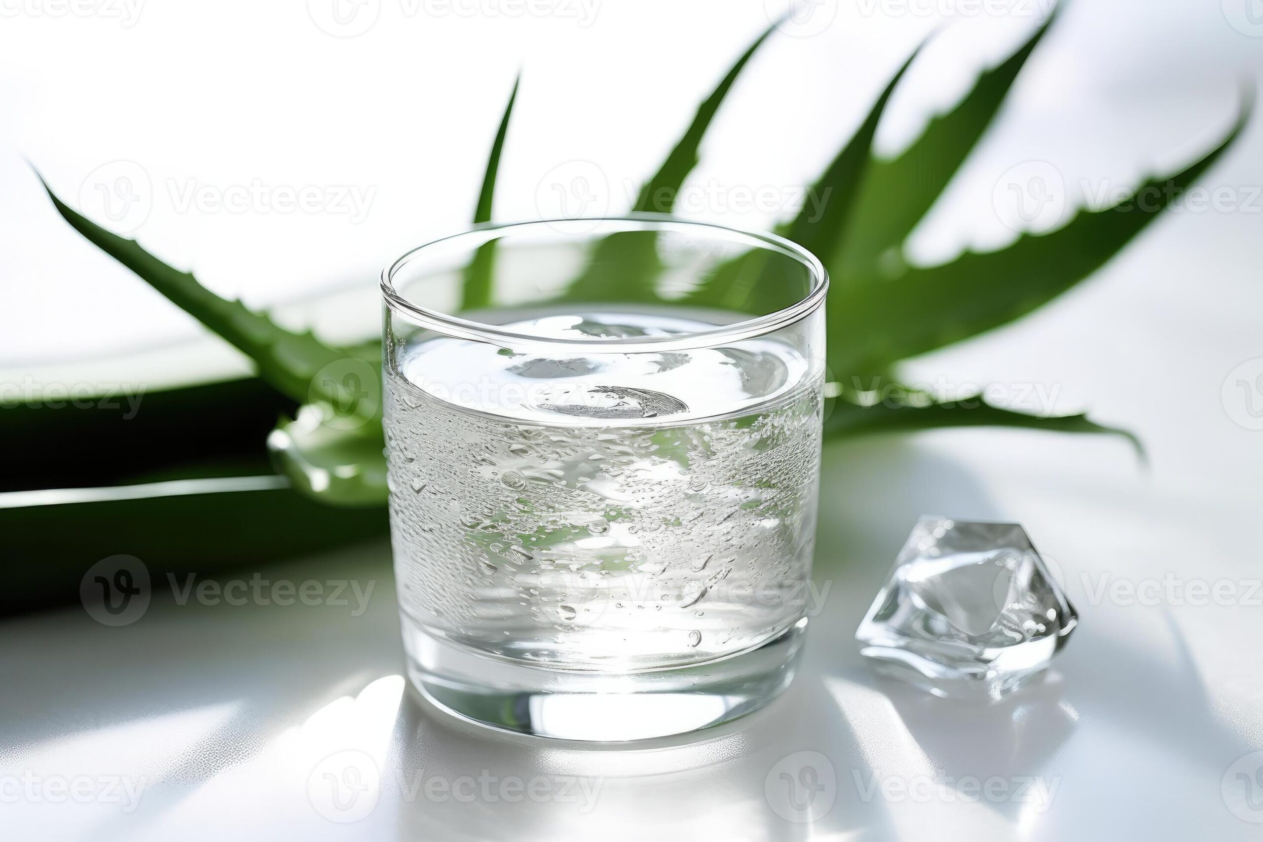 ICS ALOE VERA  JUICE 480GM*20